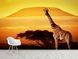 Дитячі флізелінові фотошпалери на стіну "Африка, жираф" , 3D фото шпалери S5NTR-041 фото 6