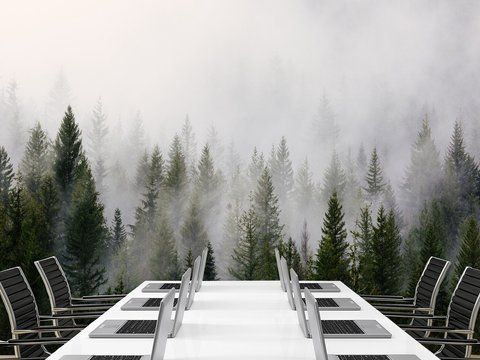 Фото шпалери для декорування будинку, флізелінові фотошпалери "Туманний ліс" S5NTR-052/8 фото