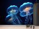 Флізелінові фотошпалери &laquo;Медузи&raquo;, фотошпалери на стіну офіс, вітальню S5NTR-092 фото 6