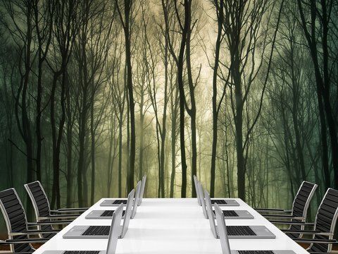 Флізелінові фотошпалери 3д для залу "Ліс у тумані", шпалери для декору будинку на преміальному флізеліні 180*120 см S5NTR-036 фото