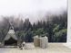 Фотошпалери "Ліс в тумані" флізелінові фотошпалери для декору спальні, залу, кухні S5NTR-025 фото 5