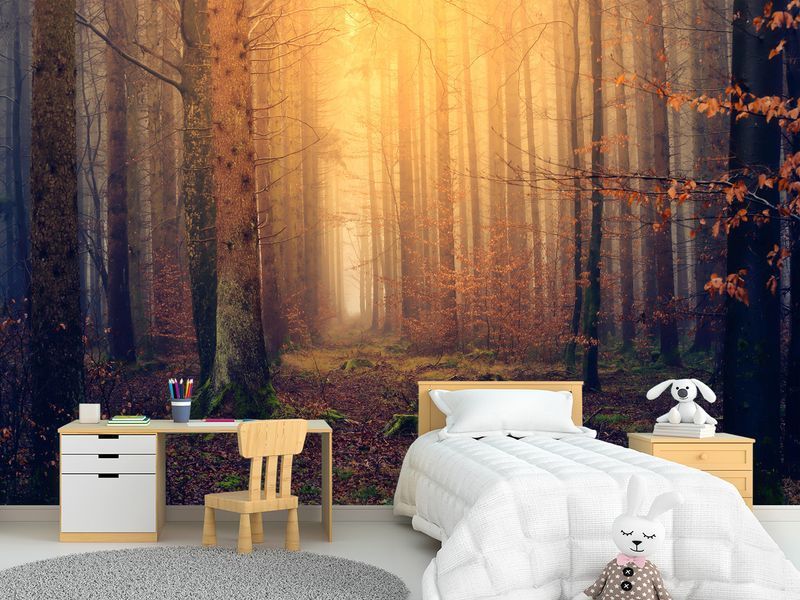 Флізелінові фотошпалери "Осінній ліс",фото шпалери для декорування будинку S5NTR-060/8 фото